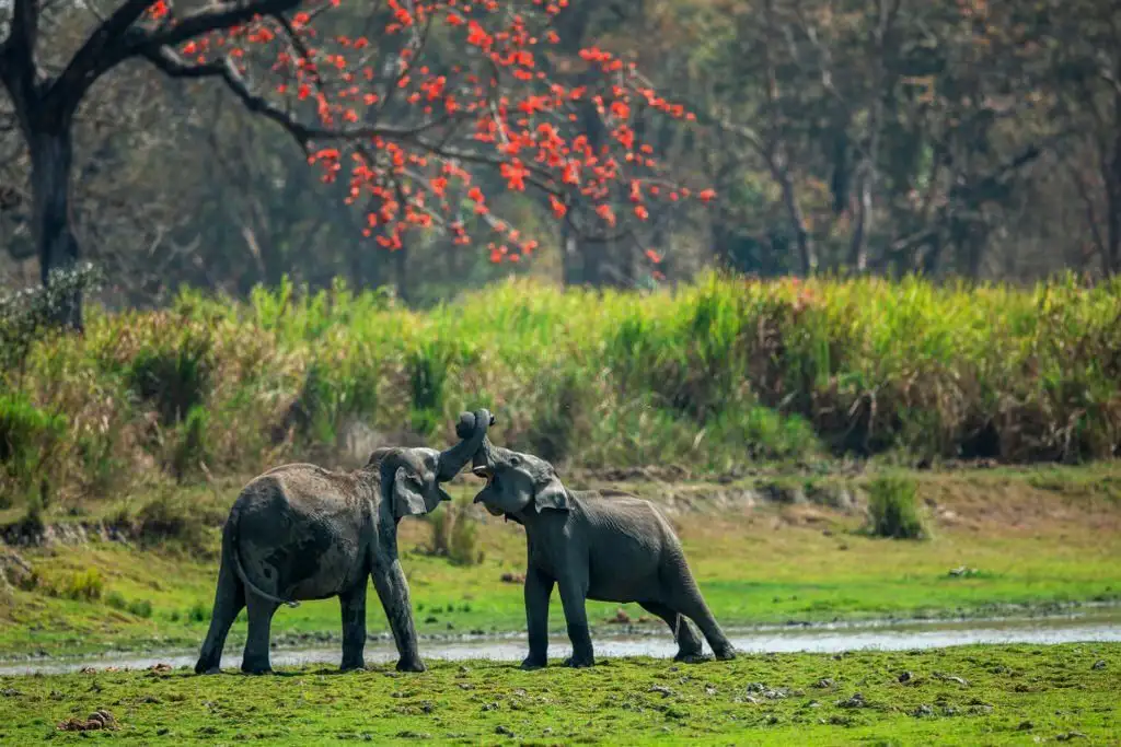Uttarakhand
